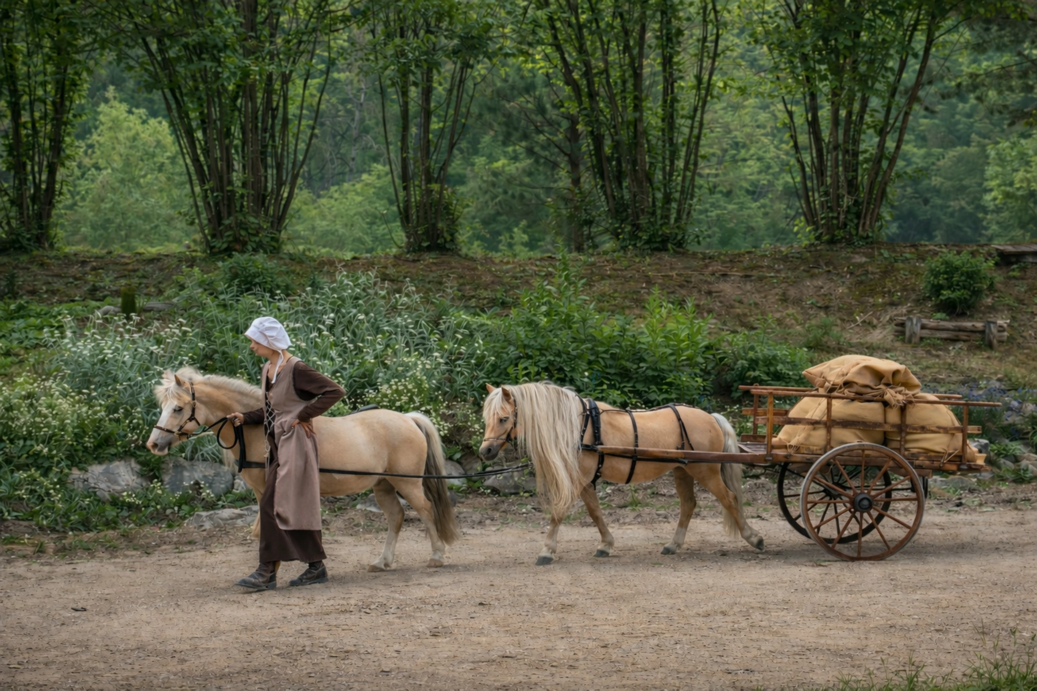 Attelage en tandem
