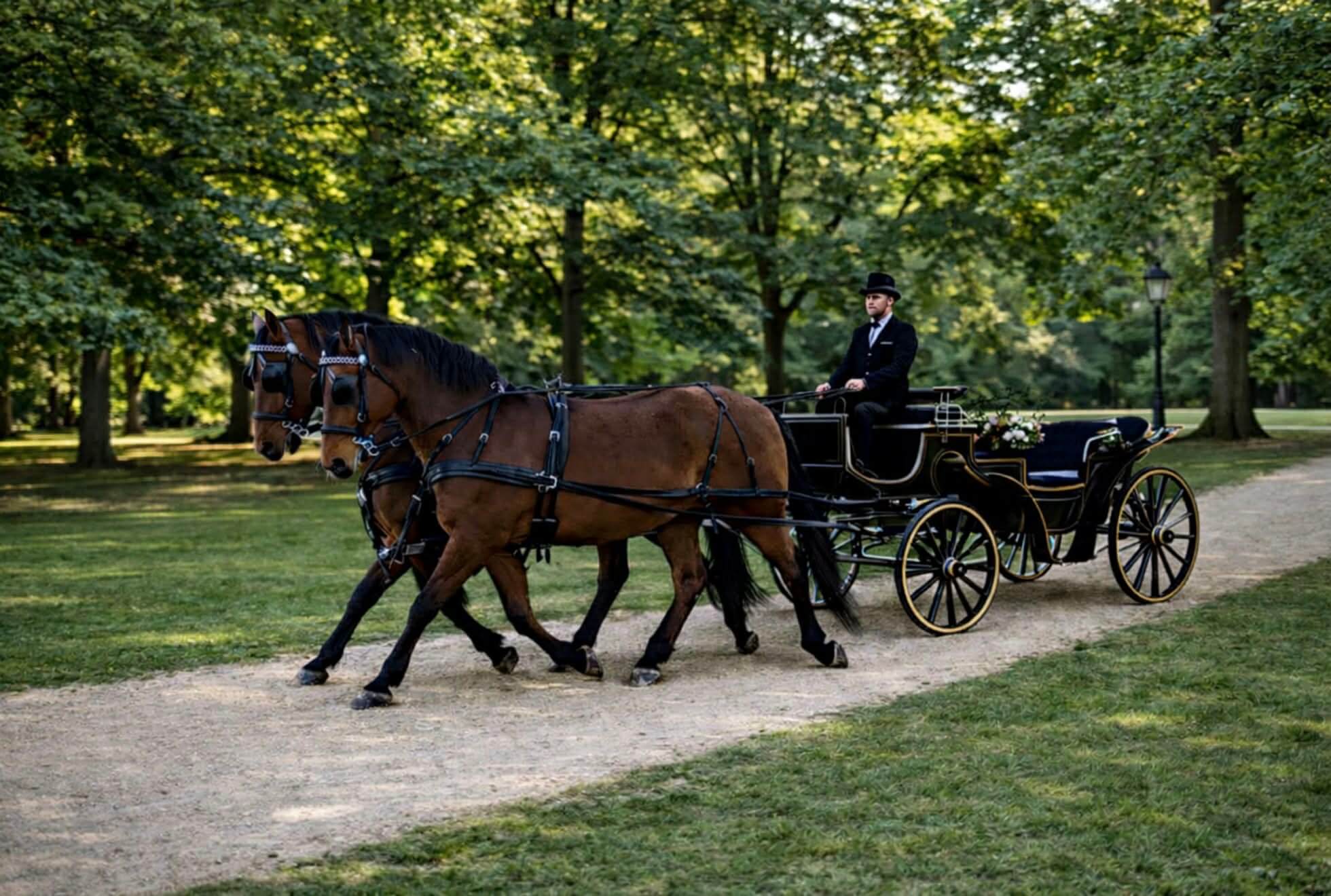 Chevaux attelés pour mariage