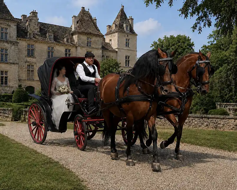 Chevaux attelés pour mariage