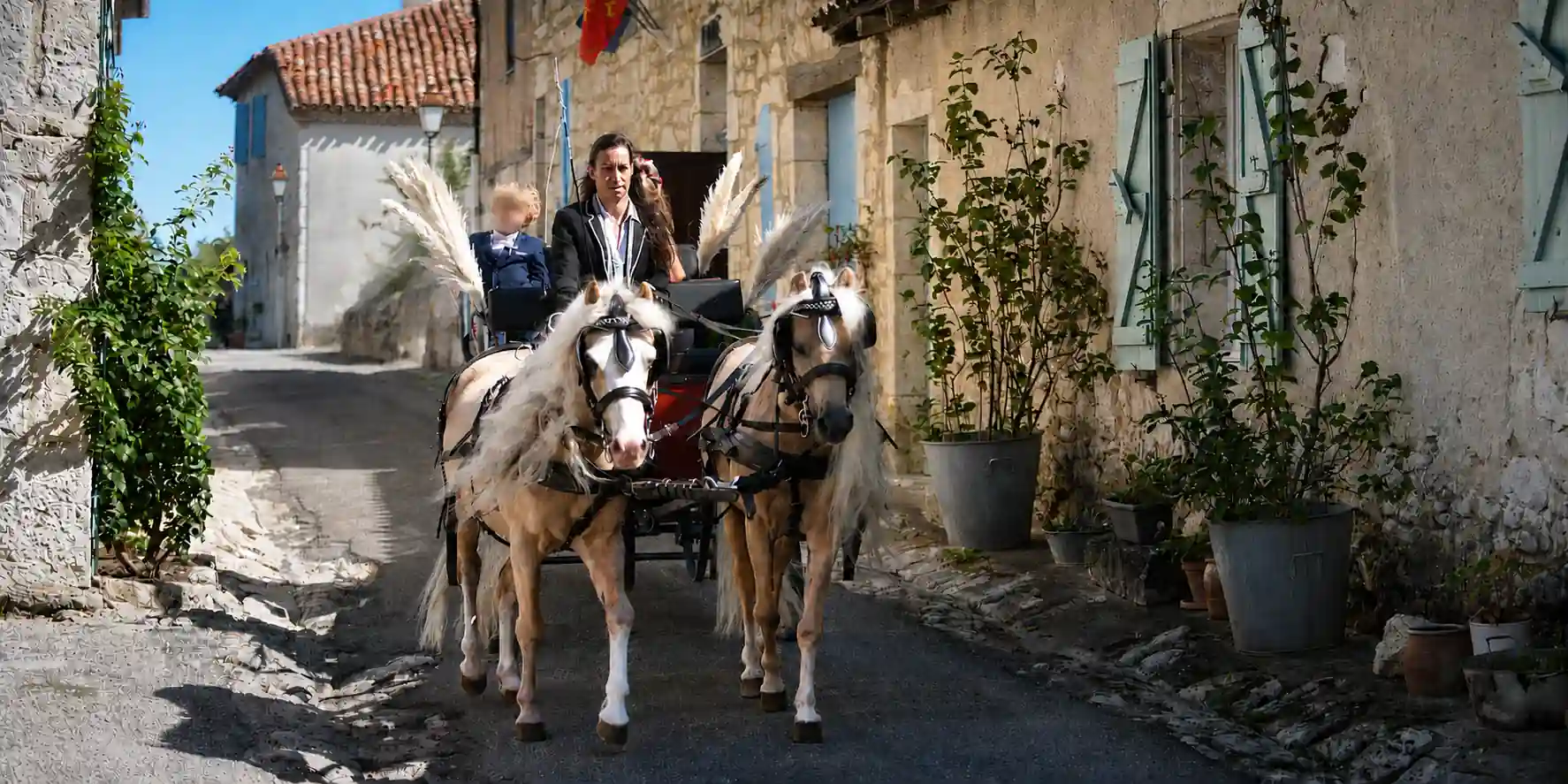 Calèche de mariage avec poneys