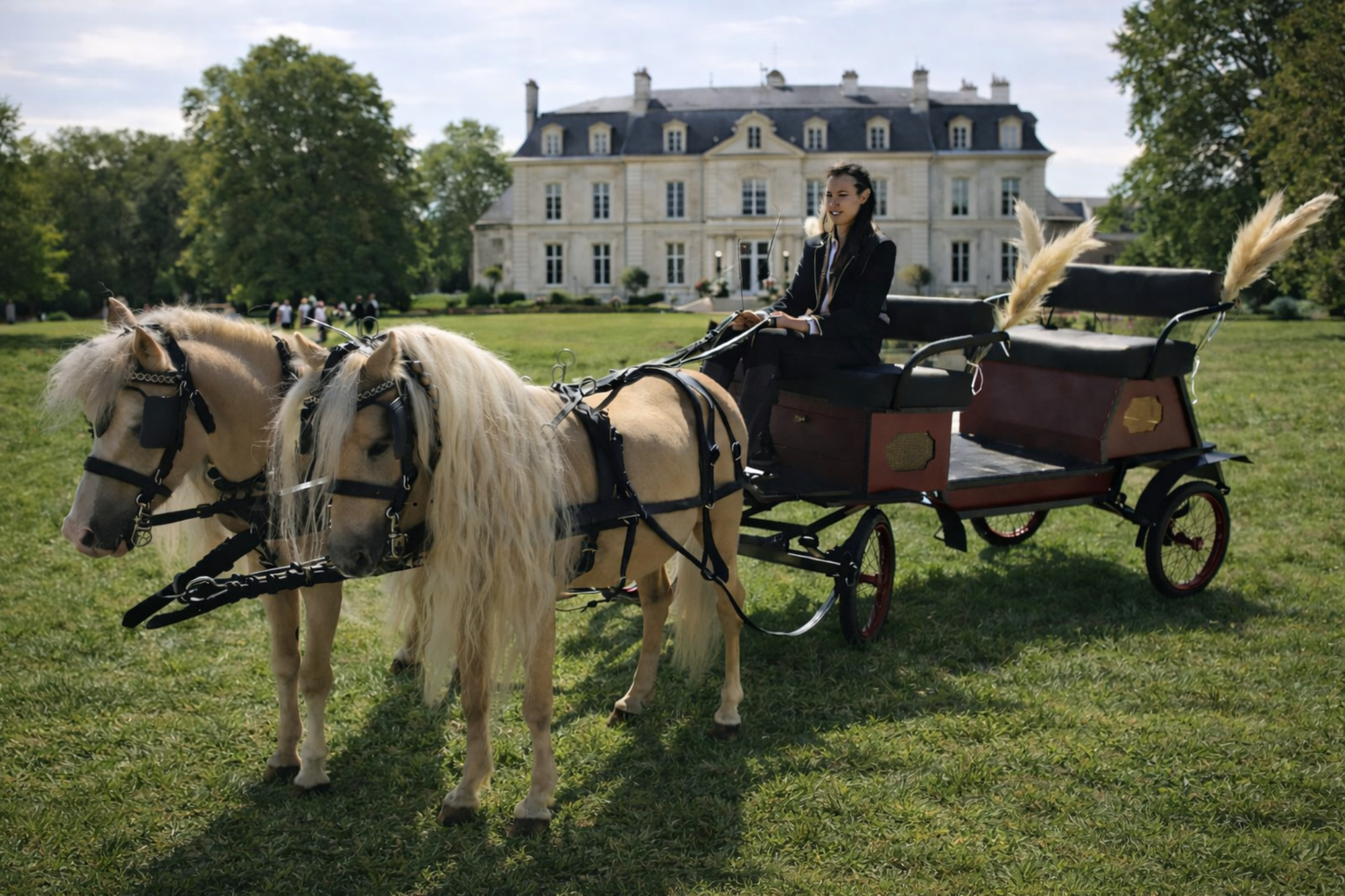 Arrivée en calèche pour mariage