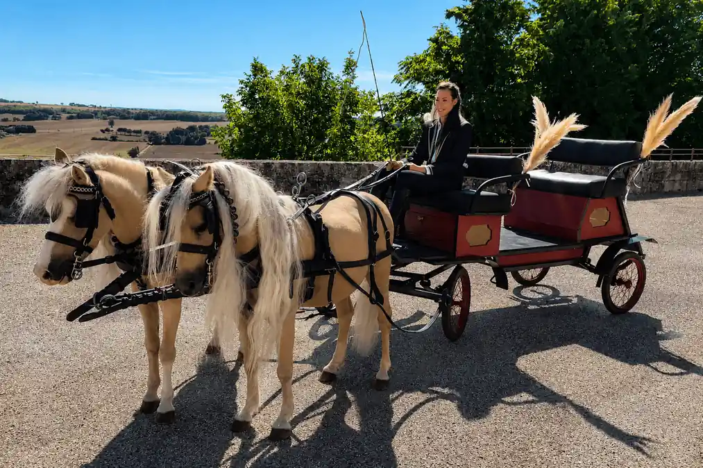 Arrivée en calèche pour mariage